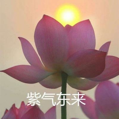全境封锁曙光手游下载最新版